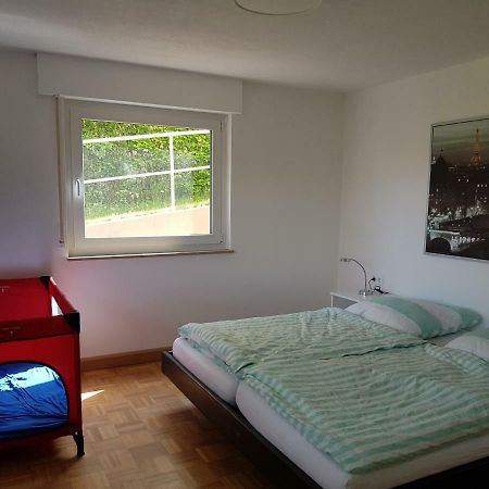 Ferien In Neuffen - Ferienwohnung Plaue Екстер'єр фото