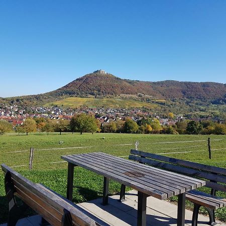 Ferien In Neuffen - Ferienwohnung Plaue Екстер'єр фото