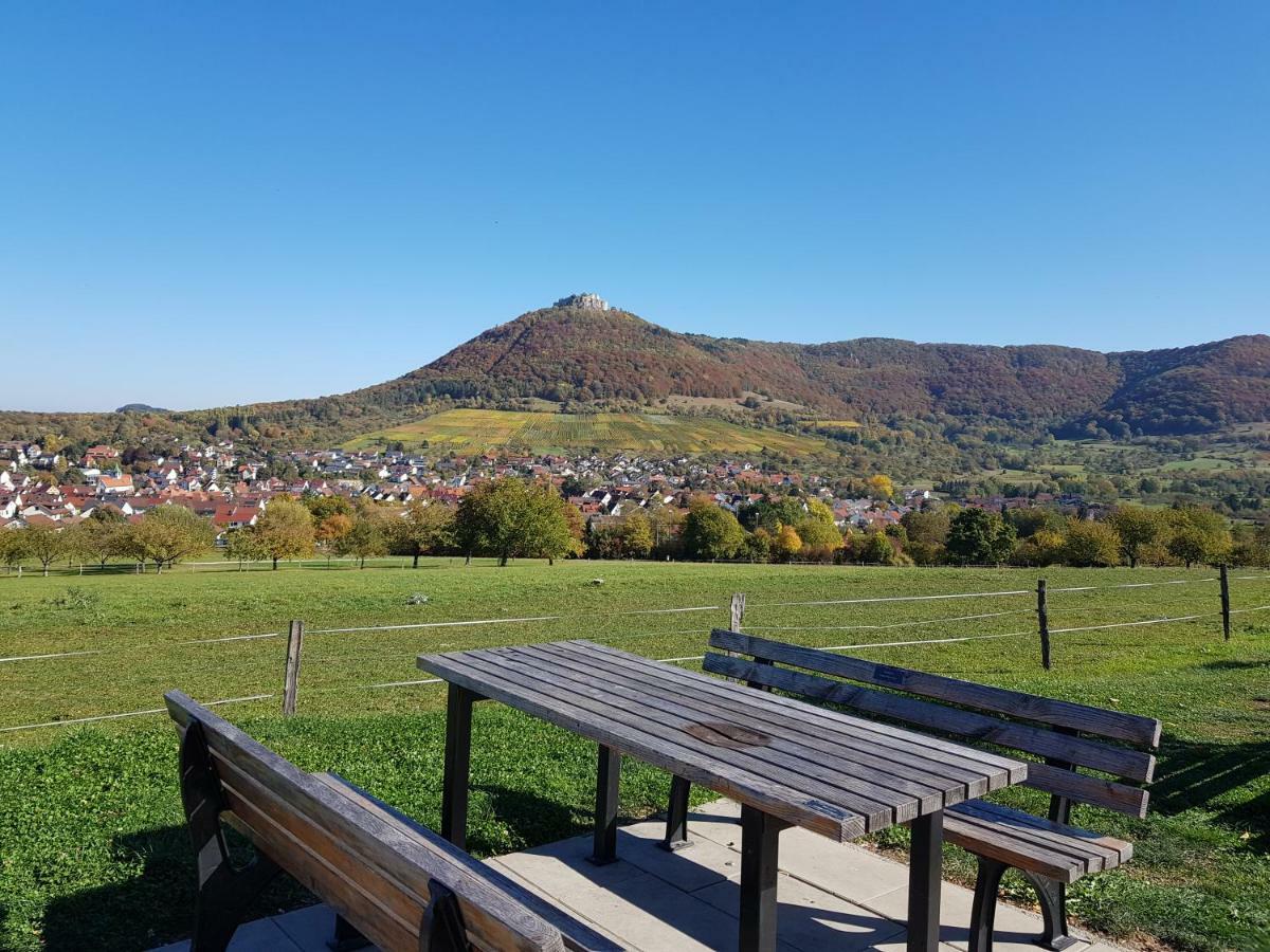 Ferien In Neuffen - Ferienwohnung Plaue Екстер'єр фото